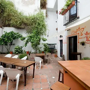  Hostel Oasis Backpackers'